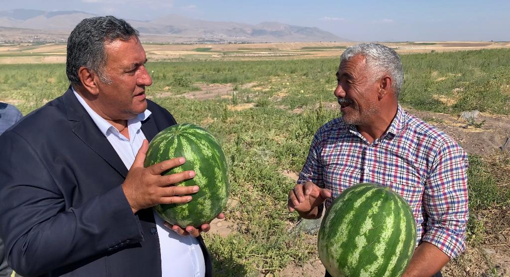 Gürer: “Nakliye maliyeti karpuzun yüzüne baktırmıyor”