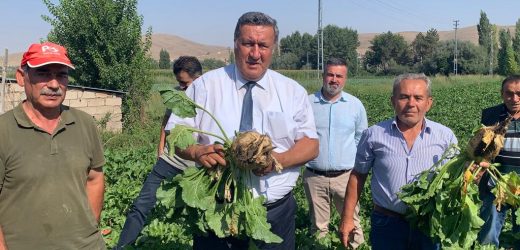 Gürer: “Gözler şeker pancarı taban fiyatında”