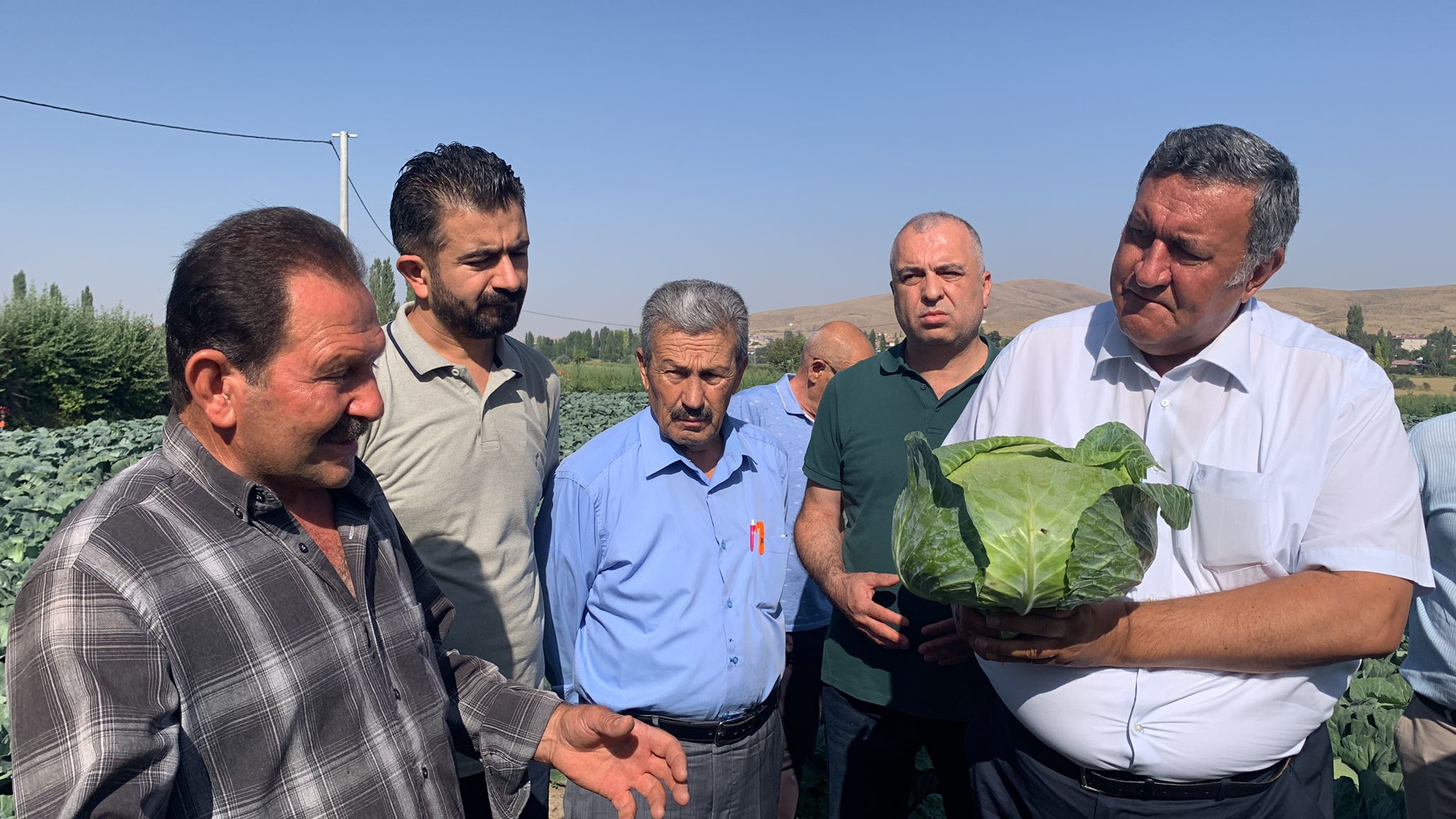 Gürer: “Lahana üreticisi de perişan”