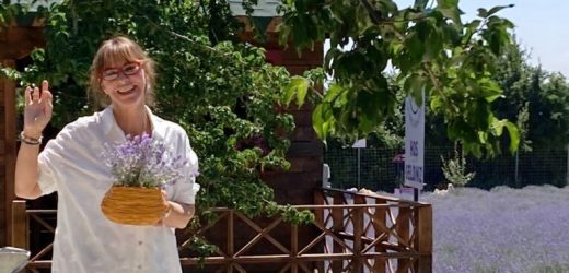 Bilecik Lila Lavanta Bahçesi, Şehre Turistik ve Ekonomik Katkı Sağlıyor