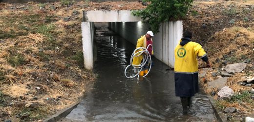 Edremit Belediyesi 7/24 sahada