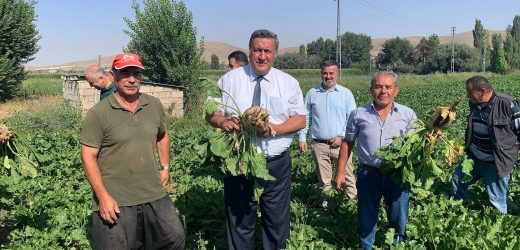 Gürer: “Ağzımızın tadını kaçırdılar”