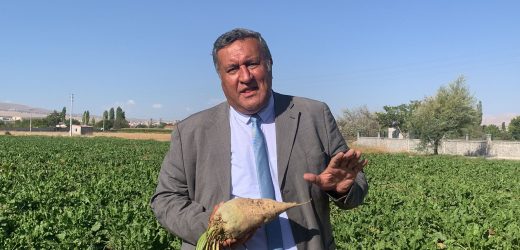 Gürer: “Çiftçi şeker pancarı hasadında, iktidar şeker ithalatında”