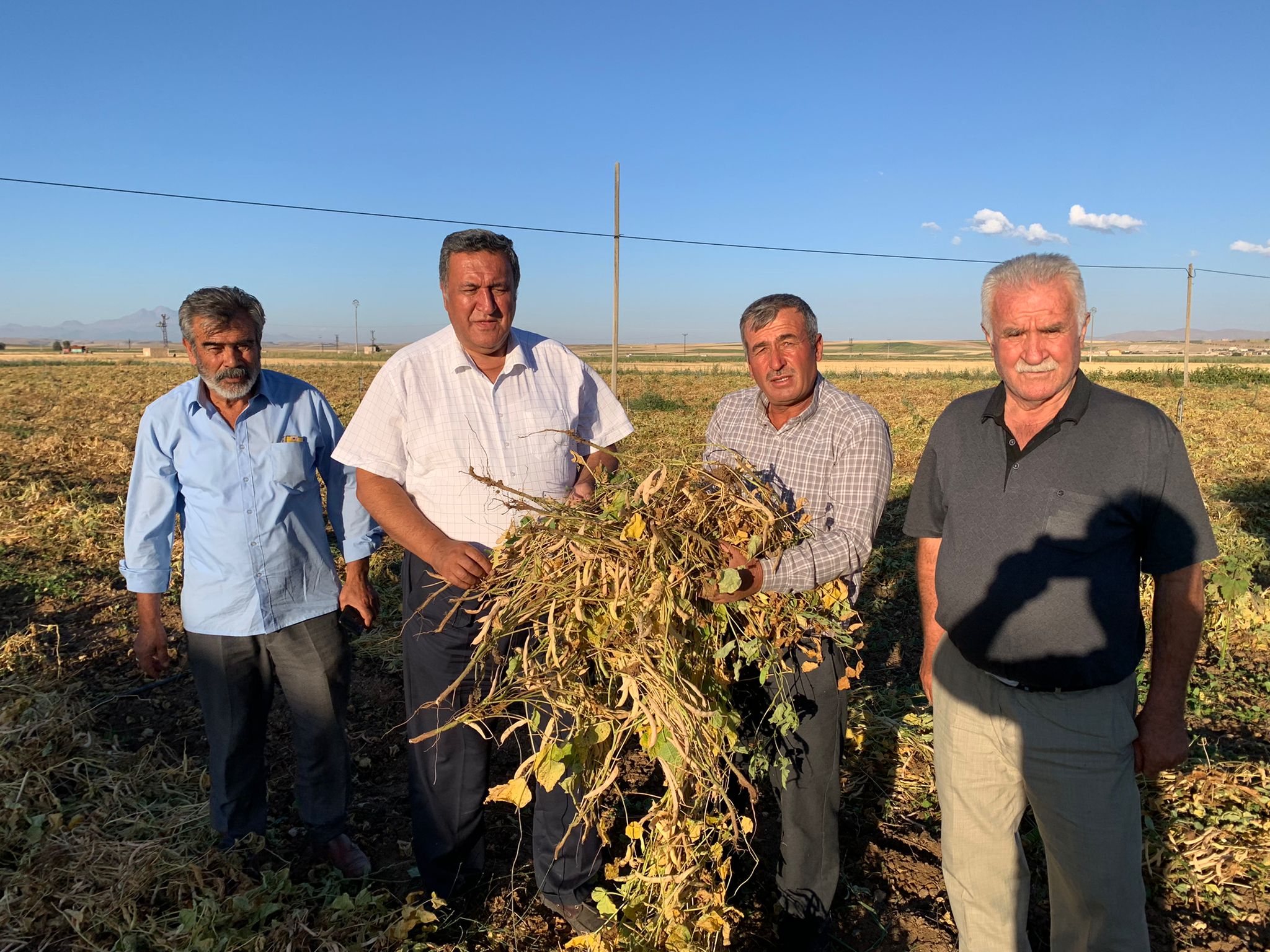 Gürer: “Fasulye üreticisi TMO’nun fiyatını bekliyor”