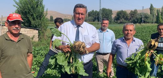 Gürer: “Şeker fiyatı özelleşen fabrikaların insafına bırakılamaz”