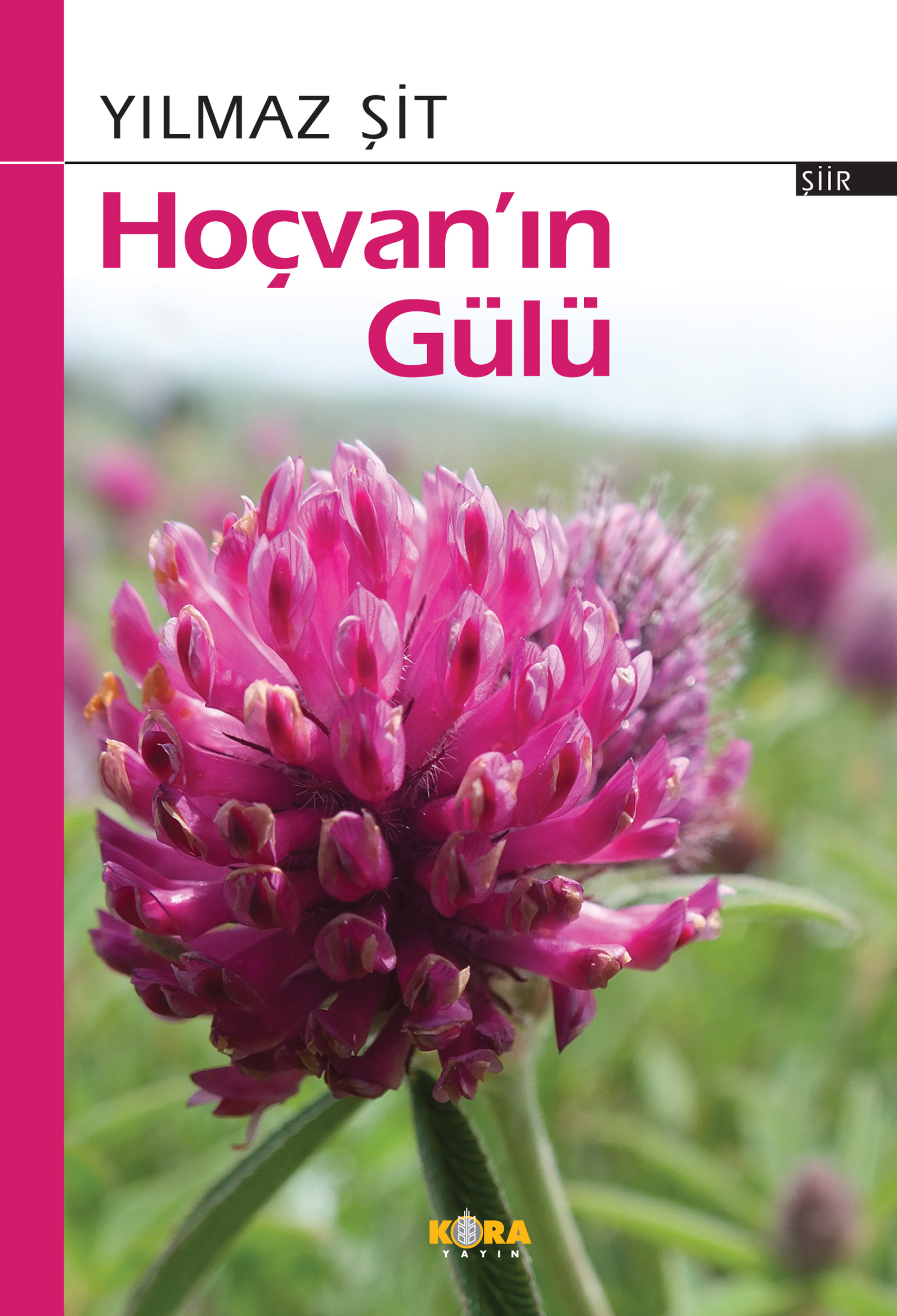 YILMAZ ŞİT Hoçvan’ın Gülü Şiir kitabı Berfin Yayınlarından Çıktı