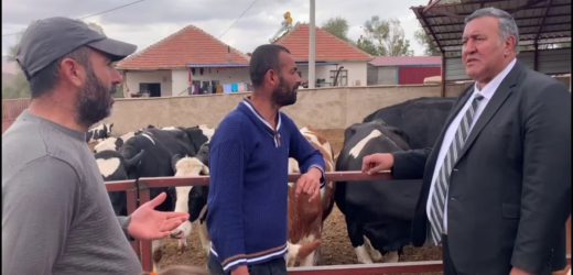 Gürer: “Et fiyatları hayvan varlığı azaldıkça artar”