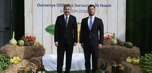 OSMANİYE OSB MUZ SERASINDA İLK HASAT GERÇEKLEŞTİRİLDİ