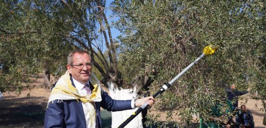 FESTİVAL HAVASI TÜM KENTİ KUCAKLADI