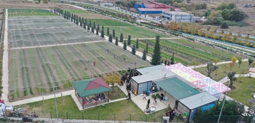 YAŞAM BAHÇESİ’NDE KIŞ HASADI YAPILDI