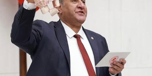 Gürer: “AKP tarımın dibine kibrit suyu döktü”