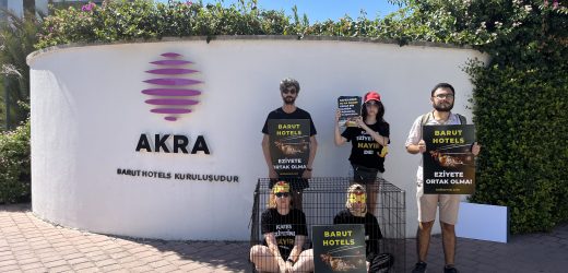 DÜNYANIN EN ETKİN HAYVAN SAVUNUCULUĞU DERNEĞİ İLK DEFA TÜRKİYE’DEN SEÇİLDİ!