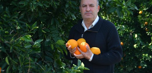 CHP ADANA:  “ÇİFTÇİMİZ BORÇ BATAĞINDA”