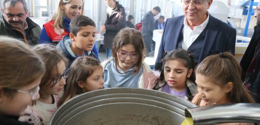 BAŞKAN ARSLAN ÖĞRENCİLERLE ZEYTİN HASADI YAPTI