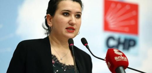 Gökçe Gökçen: Eğitime dikkat çekti