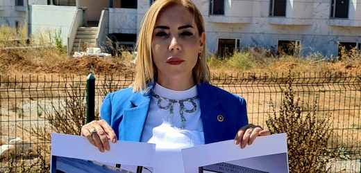 AK PARTİ MUĞLA MİLLETVEKİLİ GÖKCAN: