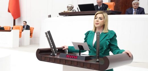 GÖKCAN, CUMHURBAŞKANIMIZ SAYIN RECEP TAYYİP ERDOĞAN’IN MUĞLA ZİYARETİ HAKKINDA TBMM GENEL KURULU’NDA KONUŞTU