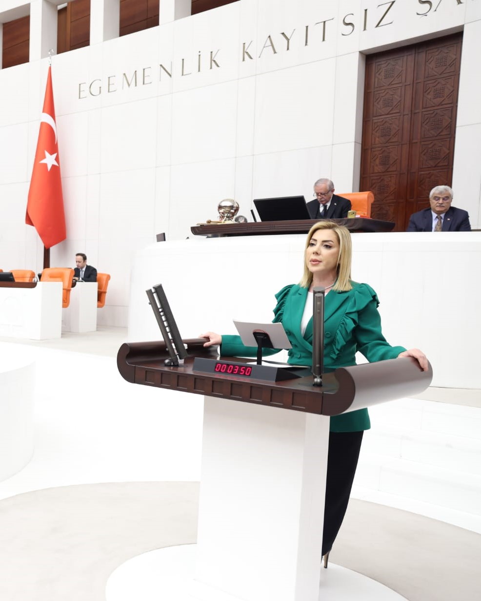 GÖKCAN, CUMHURBAŞKANIMIZ SAYIN RECEP TAYYİP ERDOĞAN’IN MUĞLA ZİYARETİ HAKKINDA TBMM GENEL KURULU’NDA KONUŞTU