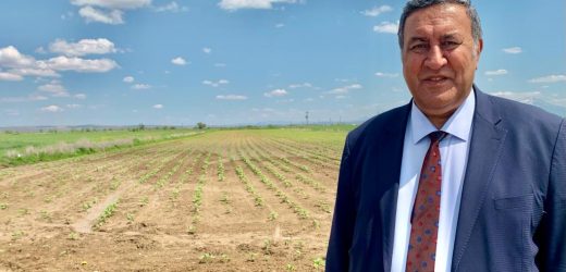 Gürer: “Kuraklık acı acı kapıyı çalıyor”