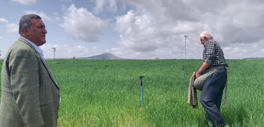 Gürer: “Kuraklık ve artan gübre fiyatları tarımda alarm veriyor”