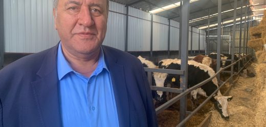 Gürer: “TİGEM dahi hayvan hastalıkları ile ilgili sorun yaşıyorsa besici ne yapsın?”