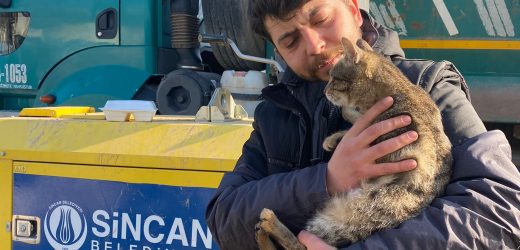 Sincan Belediyesi Can Dostlarımızı Unutmadı!