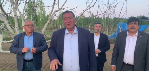 Gürer: Ağaç sayısı arttı ithalat azalmadı