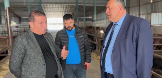 Gürer: Yem fiyatlarındaki artış hayvancılığı bitirme noktasına getirdi