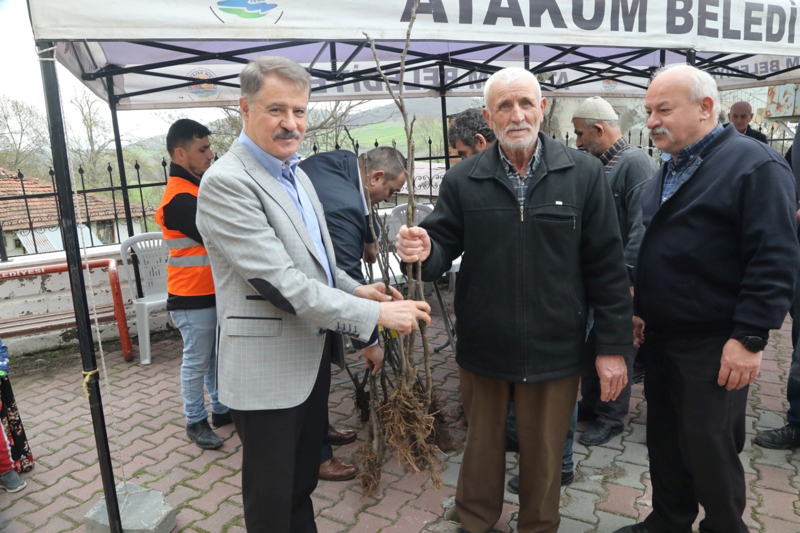 Atakum Belediyesi’nden tarımsal üretime tam destek: Çiftçiye 1000 adet incir fidanı desteği