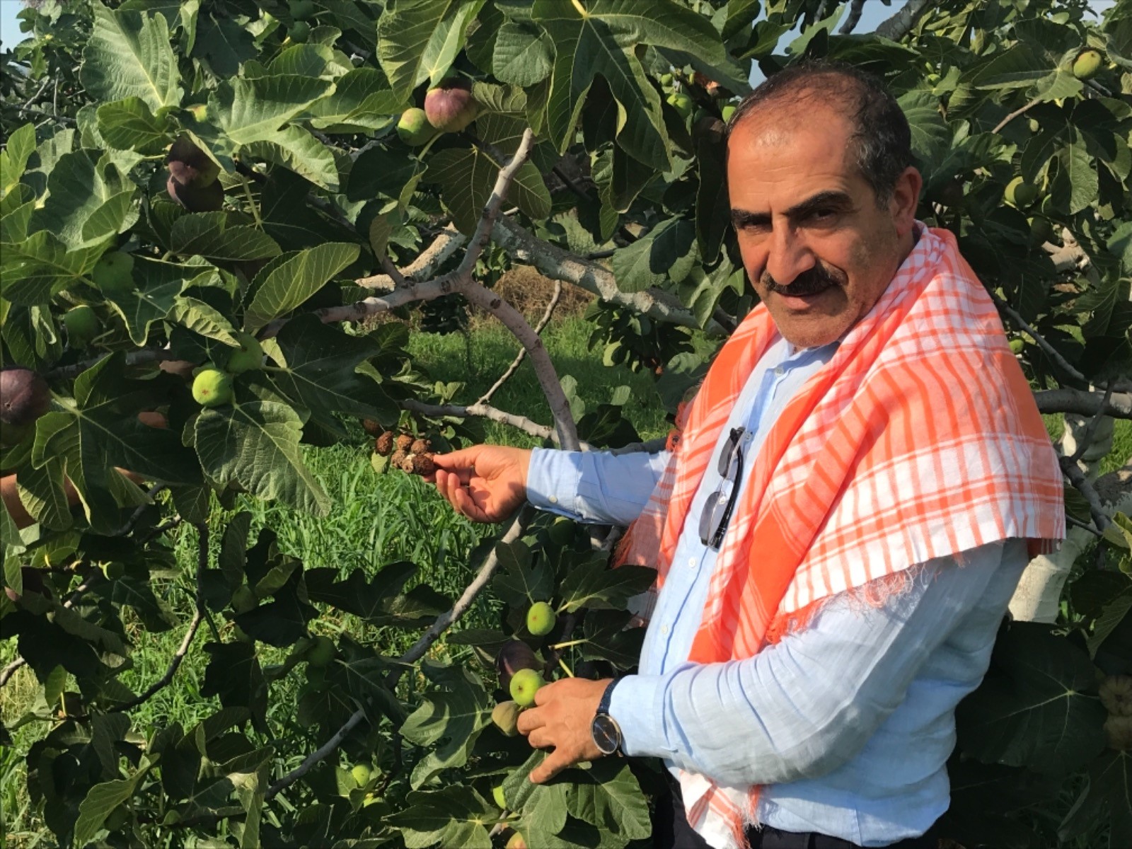 Superior Seedless Çeşidi Sofralık Üzümün ihracat yolculuğu başladı