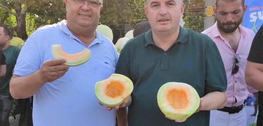 Kınık, Sucahlı Kavun Festivali’ne yeniden ev sahipliği yapacak