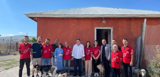 SOKAK HAYVANLARI İÇİN GÖNÜLLÜ VETERİNER HEKİM VE TEKNİKERLER, ARDAHAN BELEDİYESİ İLE BİR ARAYA GELDİ