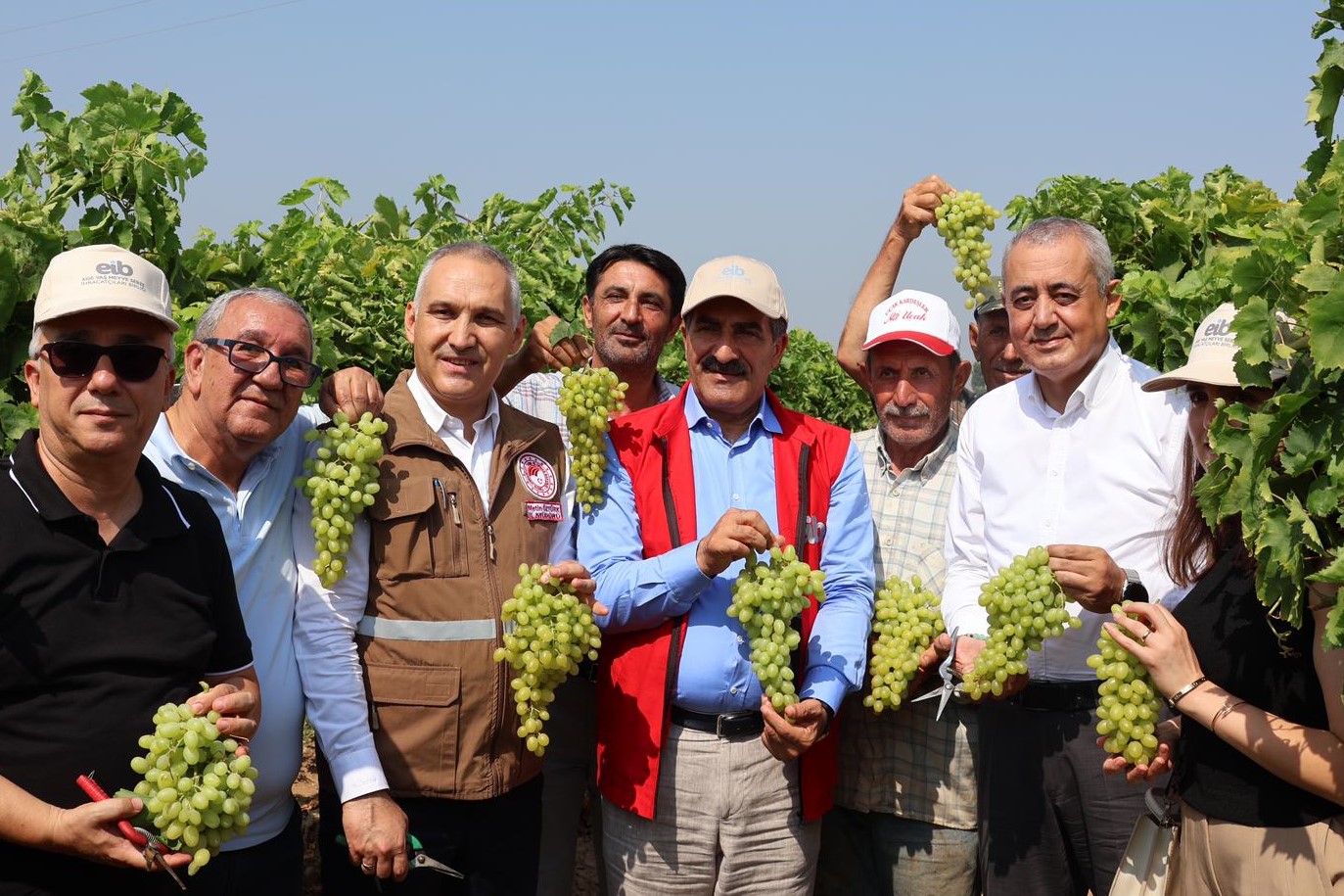 Yaş üzümde 200 milyon dolar aşılacak