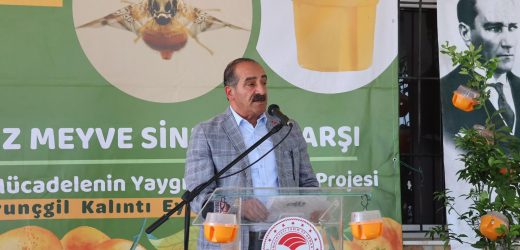 Narenciyede kalıntı sorunu kalmayacak