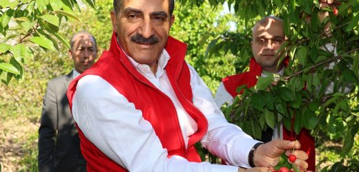 Kirazda rekor yılı: 205 milyon dolara ulaştı