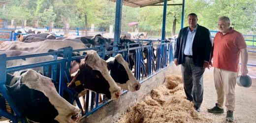 Gürer: “Hayvancılıkta ithalatta çözüm olmuyor”