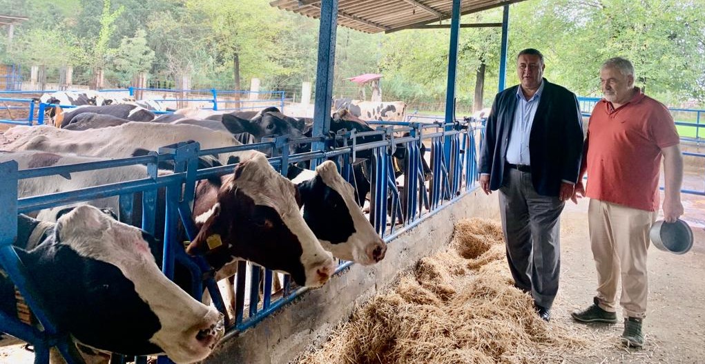 Gürer: “Hayvancılıkta ithalatta çözüm olmuyor”