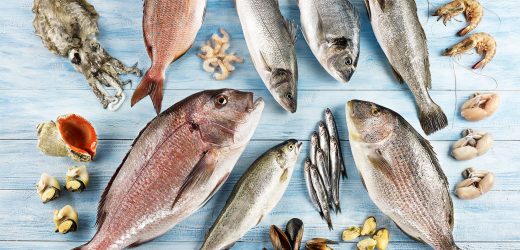 Levrek ve çipurayı taze, Türk somonu ve alabalığı dondurarak ihraç ediyoruz