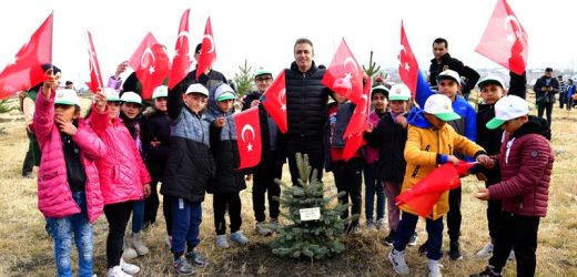 Ardahan’da fidan dikim seferberliği