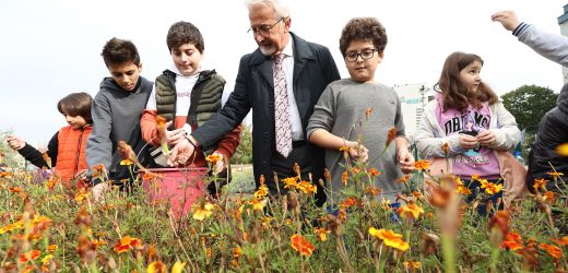 NİLÜFER’DE TARIMDA ‘MAHALLE’ SEFERBERLİĞİ BU BOSTANLAR HALKIN