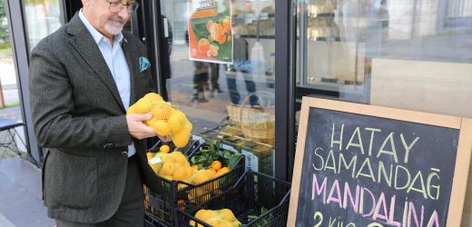 HATAYLI MANDALİNA ÜRETİCİSİNE NİLÜFER DESTEĞİ HATAYLI ÜRETİCİYE NİLÜFERLİLER UMUT OLDU  HATAYLI ÜRETİCİYE UMUT VEREN DESTEK