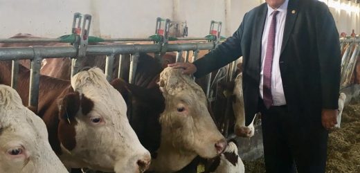 Gürer: “Et ve Süt Kurumu’nun karkas kesim fiyatları üretici maliyetlerinin altında kaldı”