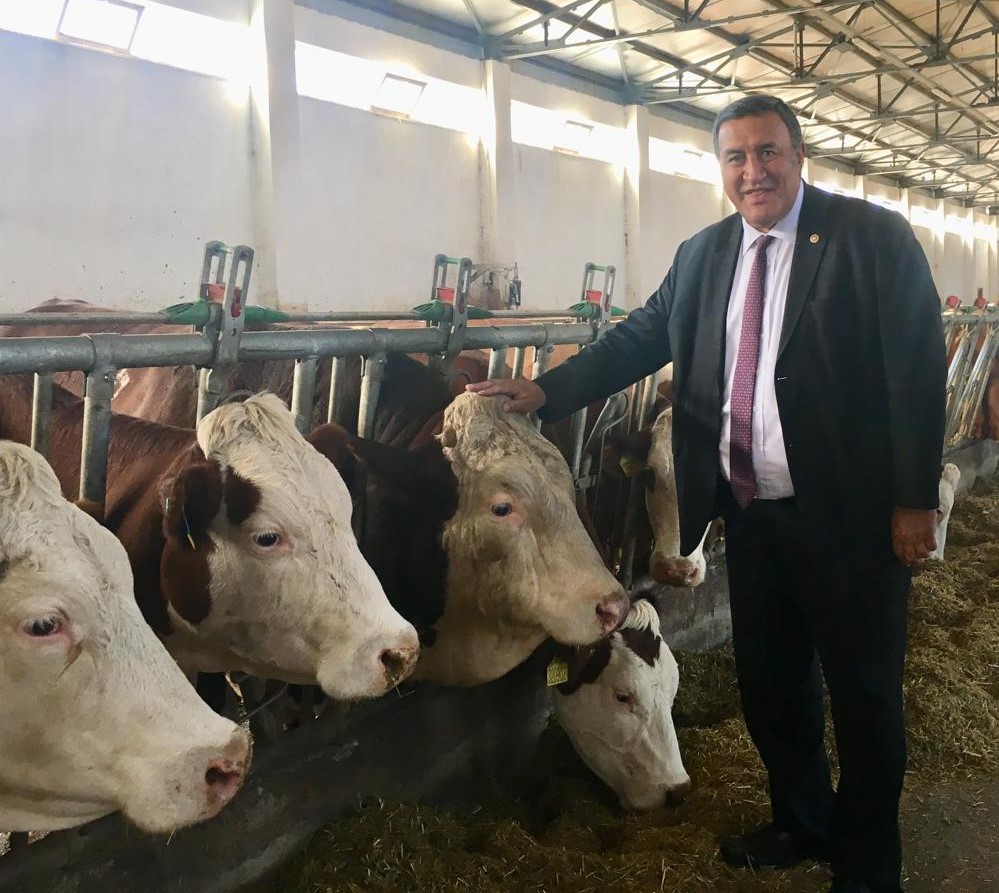 Gürer: “Et ve Süt Kurumu’nun karkas kesim fiyatları üretici maliyetlerinin altında kaldı”