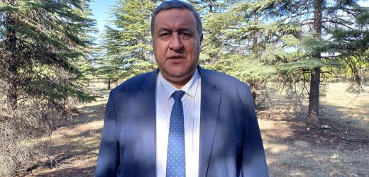 Gürer: “Ormanlar talana uğruyor”