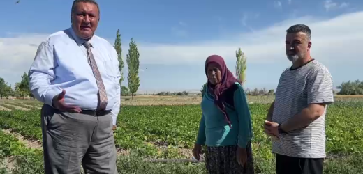 Kadın çiftçi: “40 senedir sebze üretiyorum, bir ev sahibi bile olamadım”