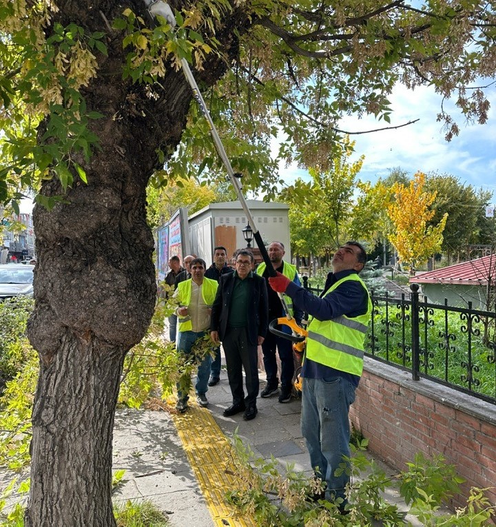 ARDAHAN BELEDİYESİ, SONBAHAR AĞAÇ BAKIM VE BUDAMA ÇALIŞMALARINA BAŞLADI