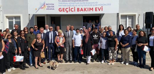 Büyükşehir sokak canlılarını korumak için ilgili sivil toplum kuruluşlarıyla iş birliğini sürdürüyor
