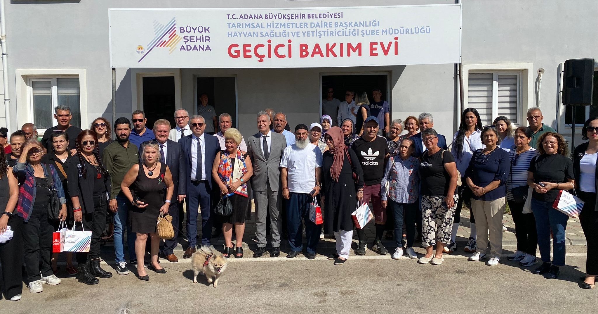 Büyükşehir sokak canlılarını korumak için ilgili sivil toplum kuruluşlarıyla iş birliğini sürdürüyor