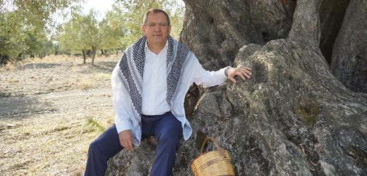 Mesut Ergin: “Dünya Zeytin Ağacı Günü Kutlu Olsun”