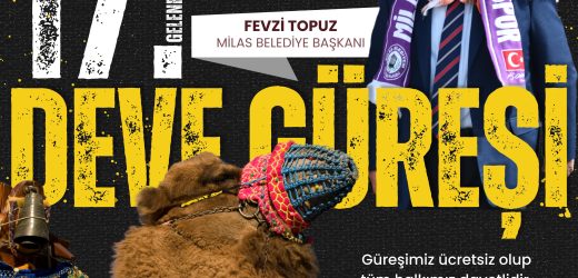 YILIN BÜYÜK DEVE GÜREŞİ MİLAS’TA GERÇEKLEŞECEK